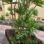 Apartament Mare 2